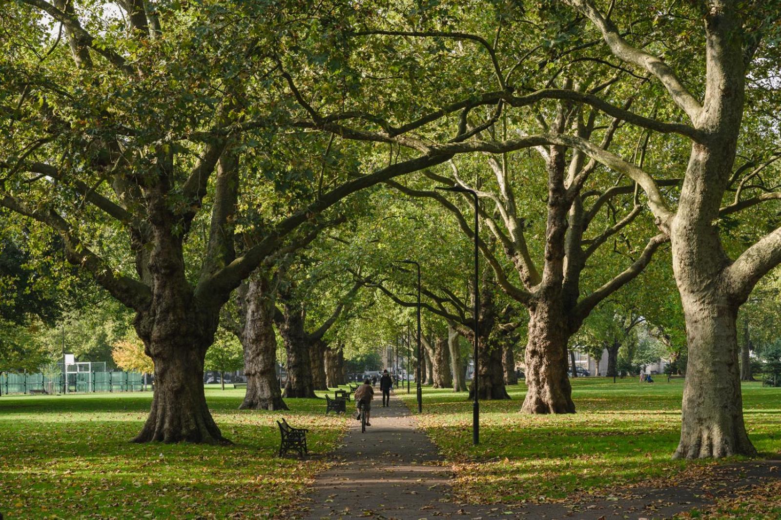 Lovely Apartment In Victoria Park Village Londra Exterior foto